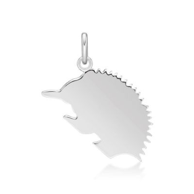 Picture of ECHIDNA (LRG) CHARM
